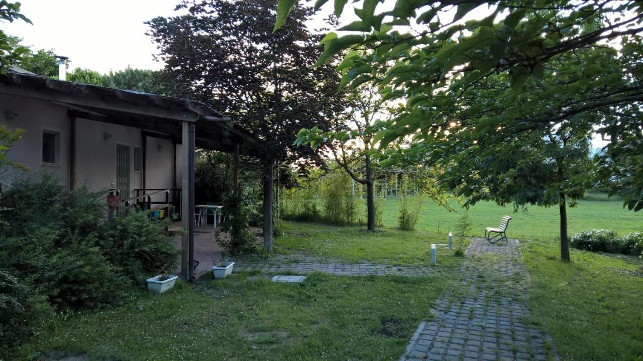 Rose Canine Cesenatico